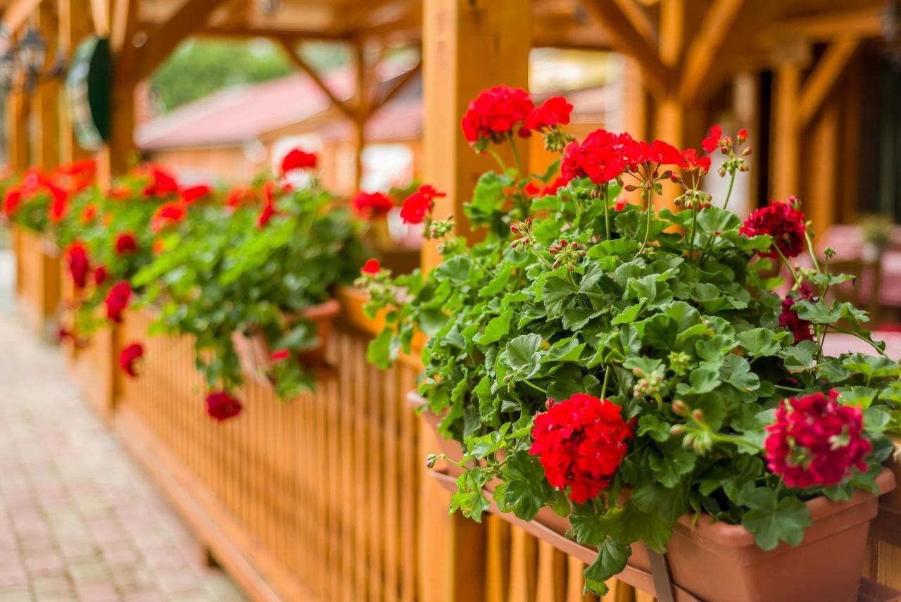 Lipicai Es Etterem Hotel Szilvásvárad